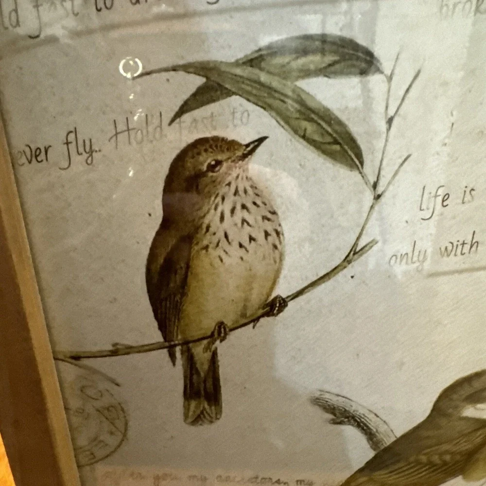 NWT Ashland Birds WARM HERITAGE Wall Decor SPRING PRINTEMPS 9.3 X 13.3